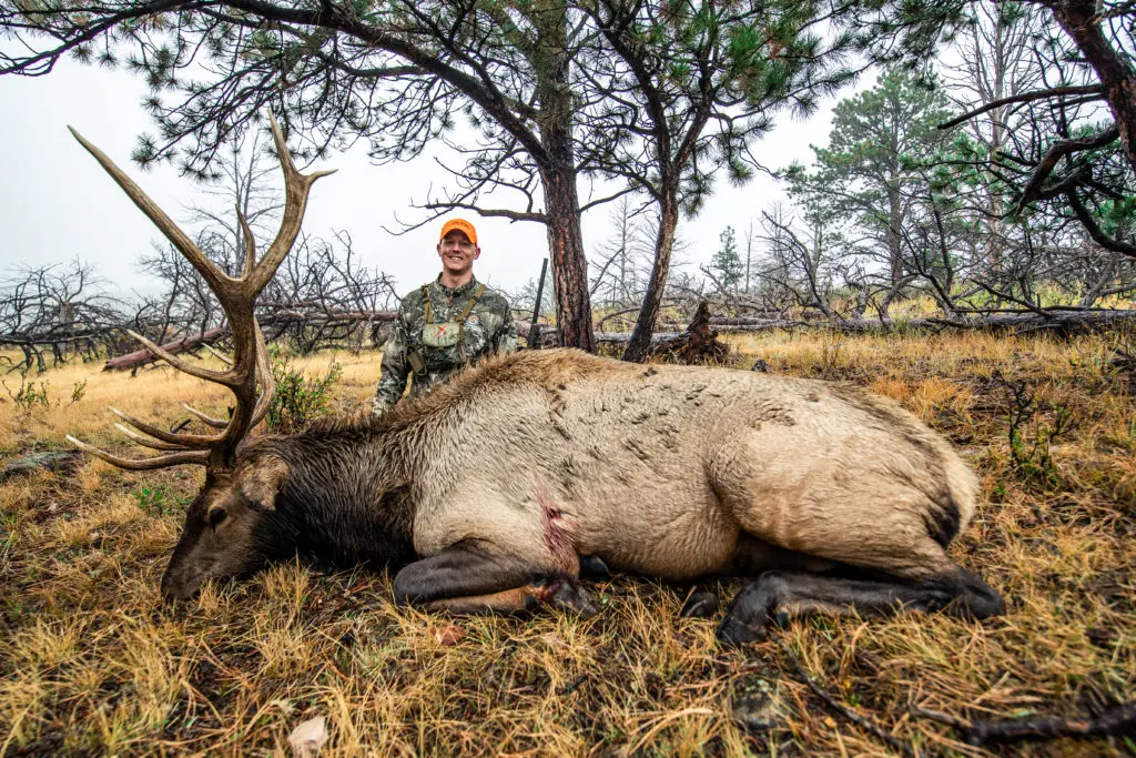 2019 Elk