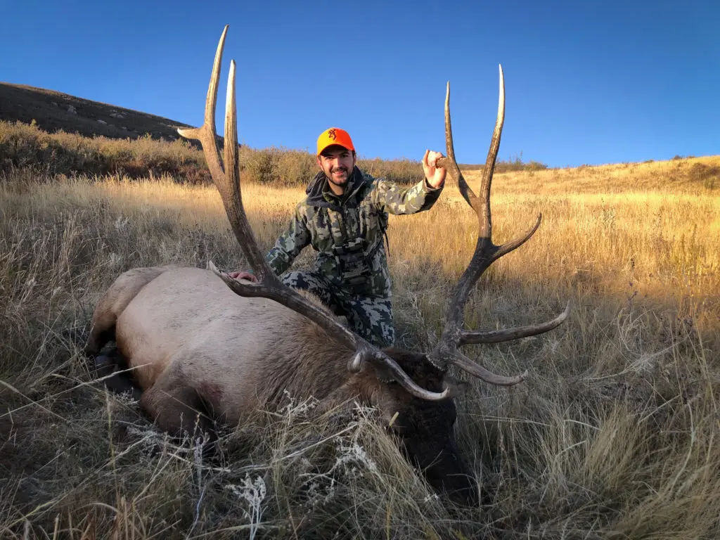 2019 Elk