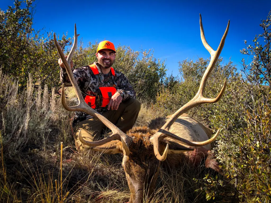 2019 Elk