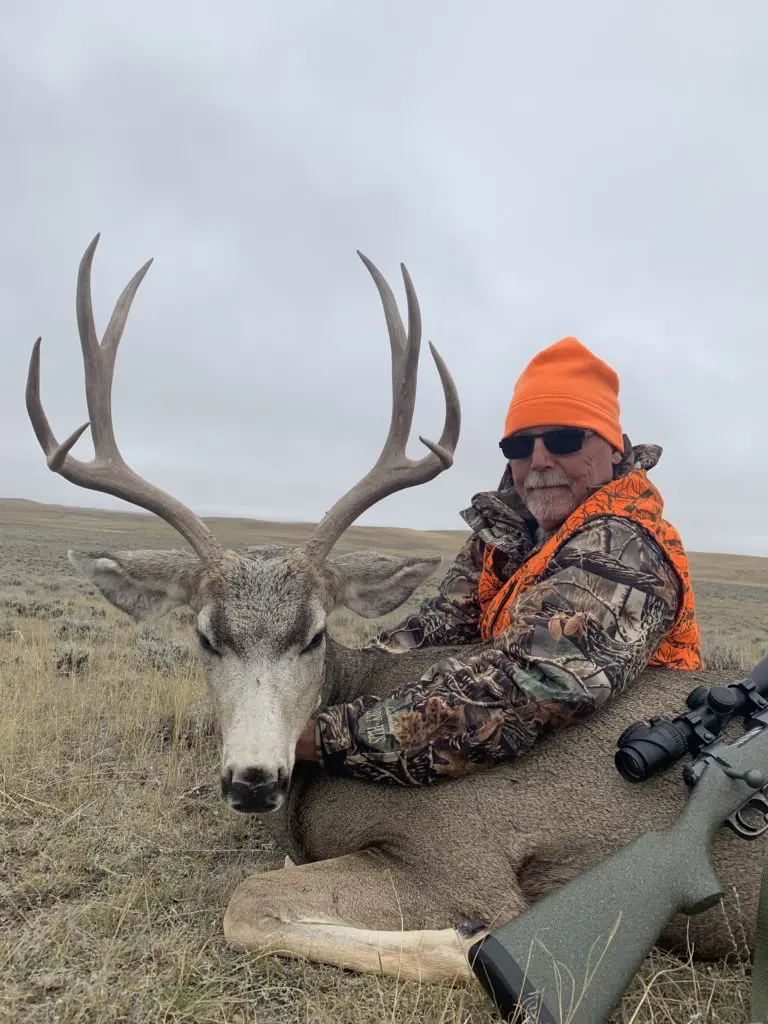 2019 Deer