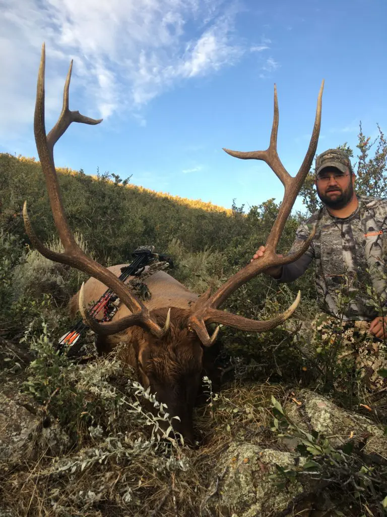 2019 Elk