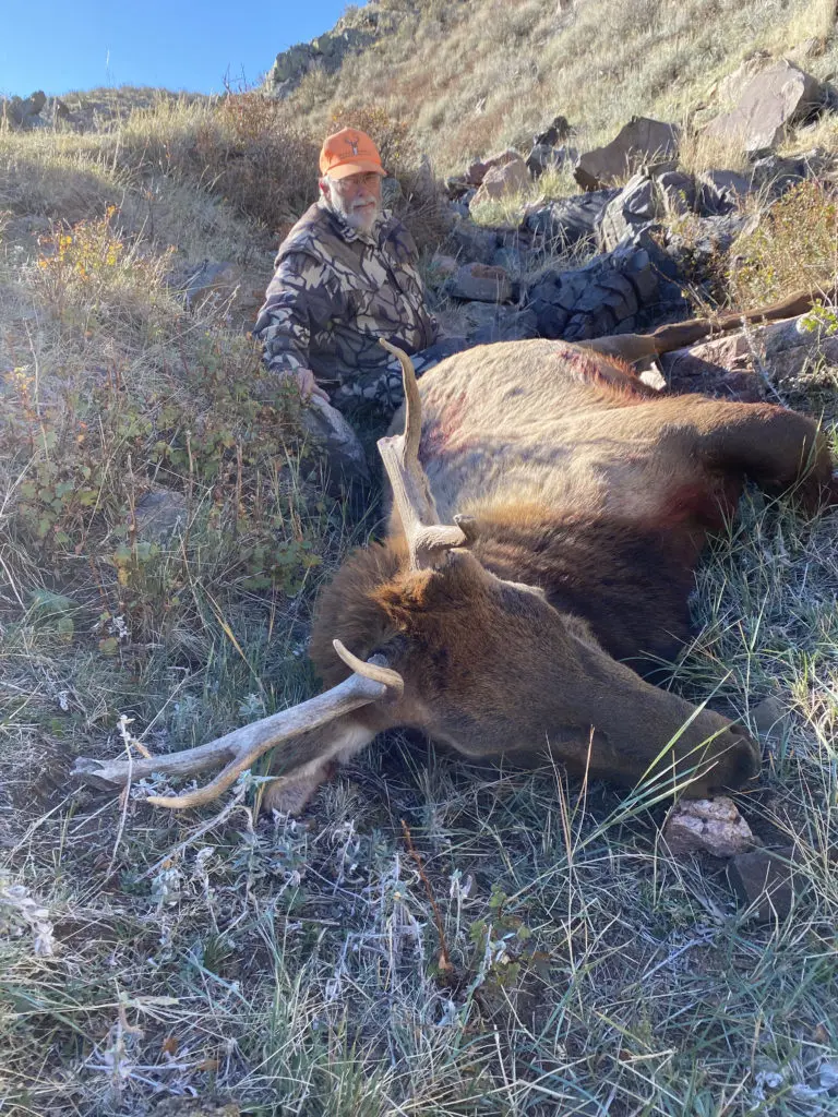 2020 Elk