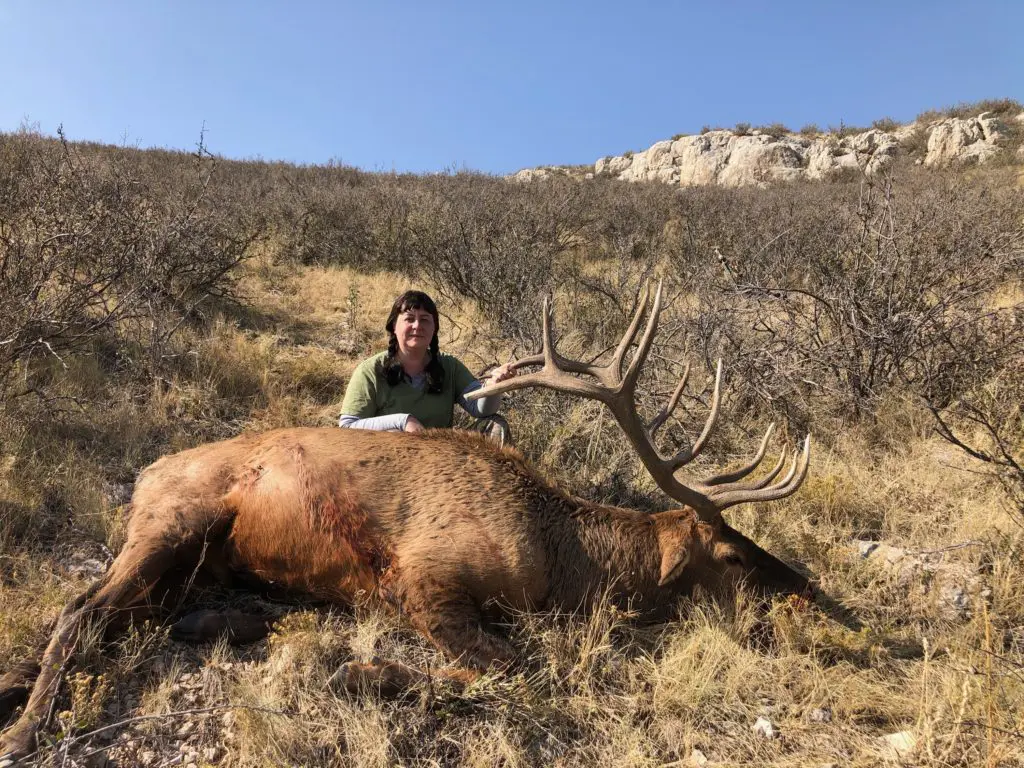 2020 Elk