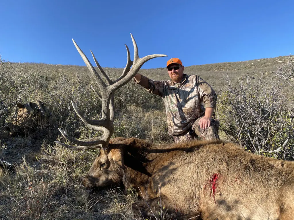 2020 Elk