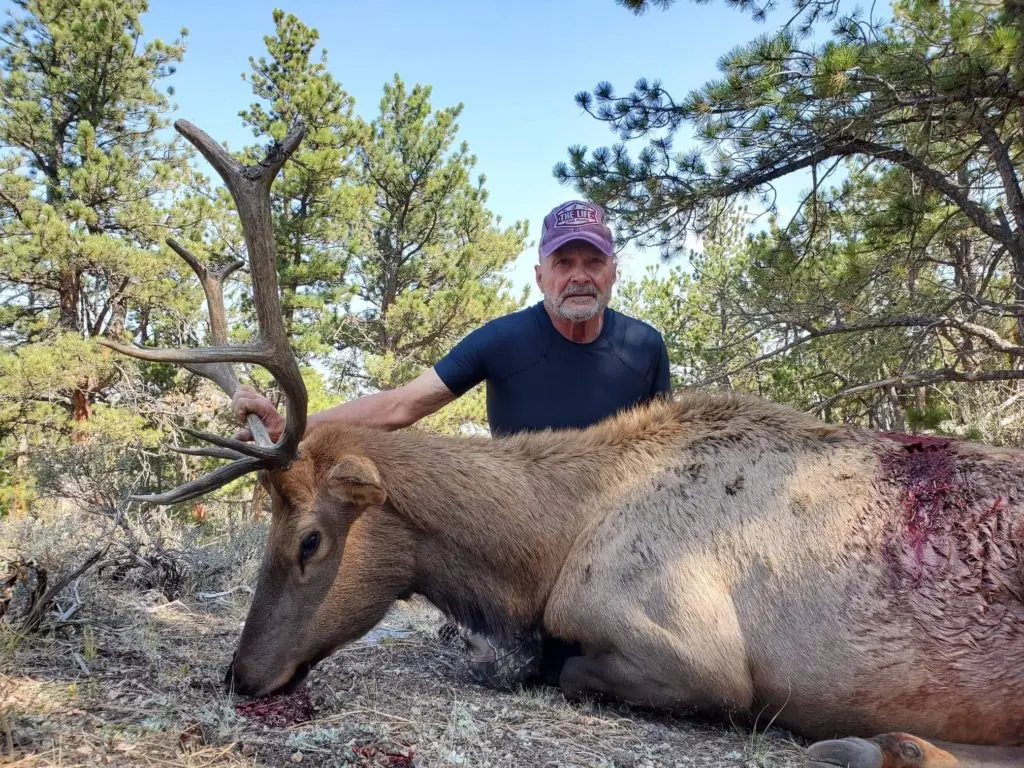 2020 Elk