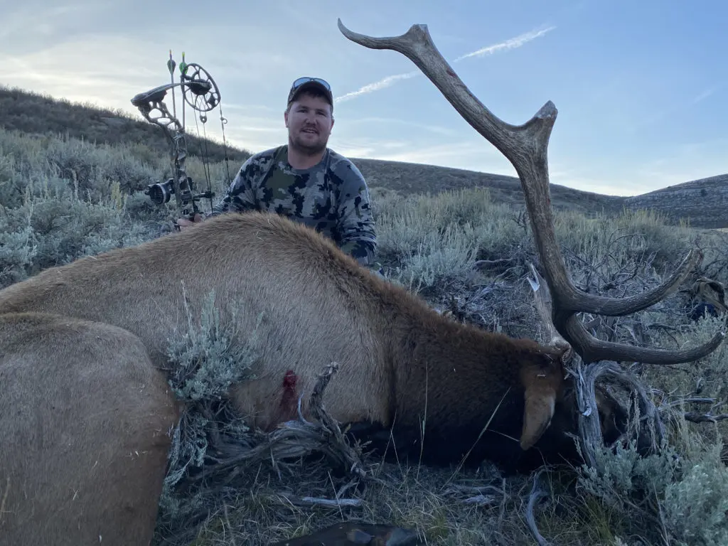 2020 Elk