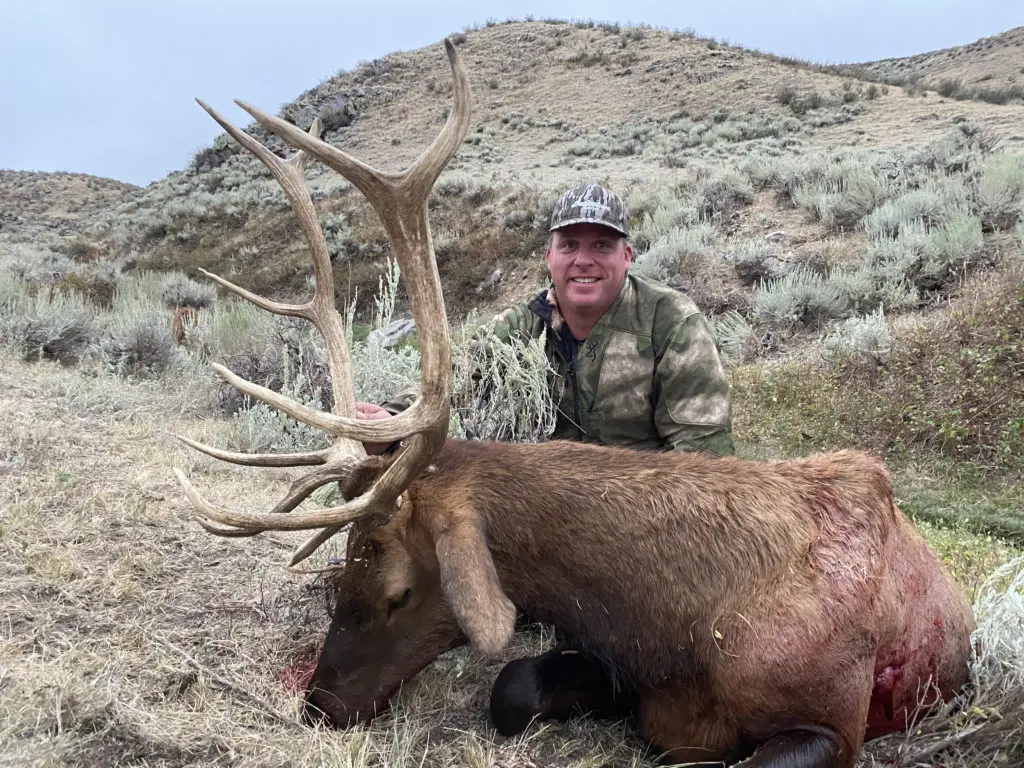 2020 Elk