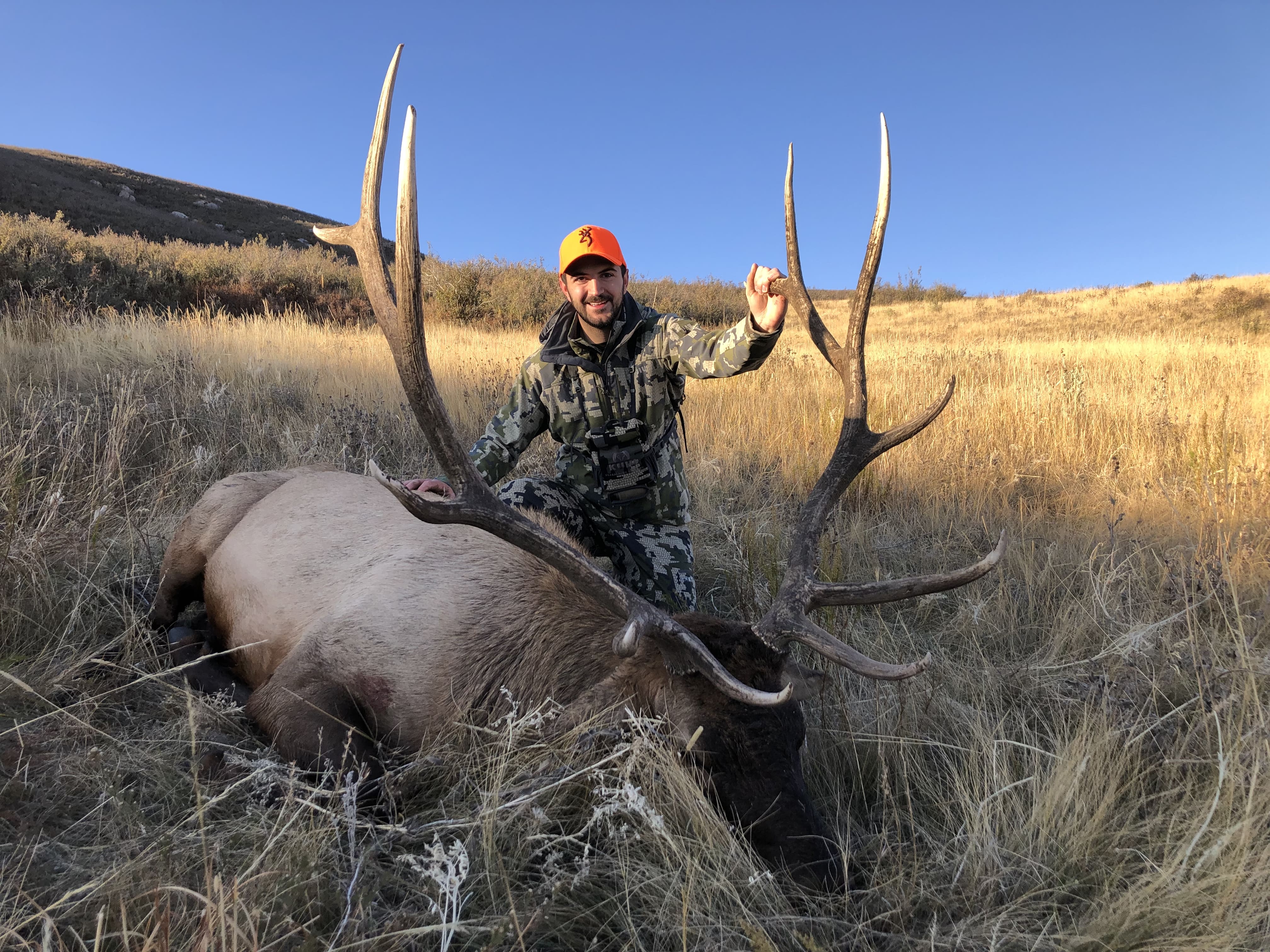 wyoming hunting