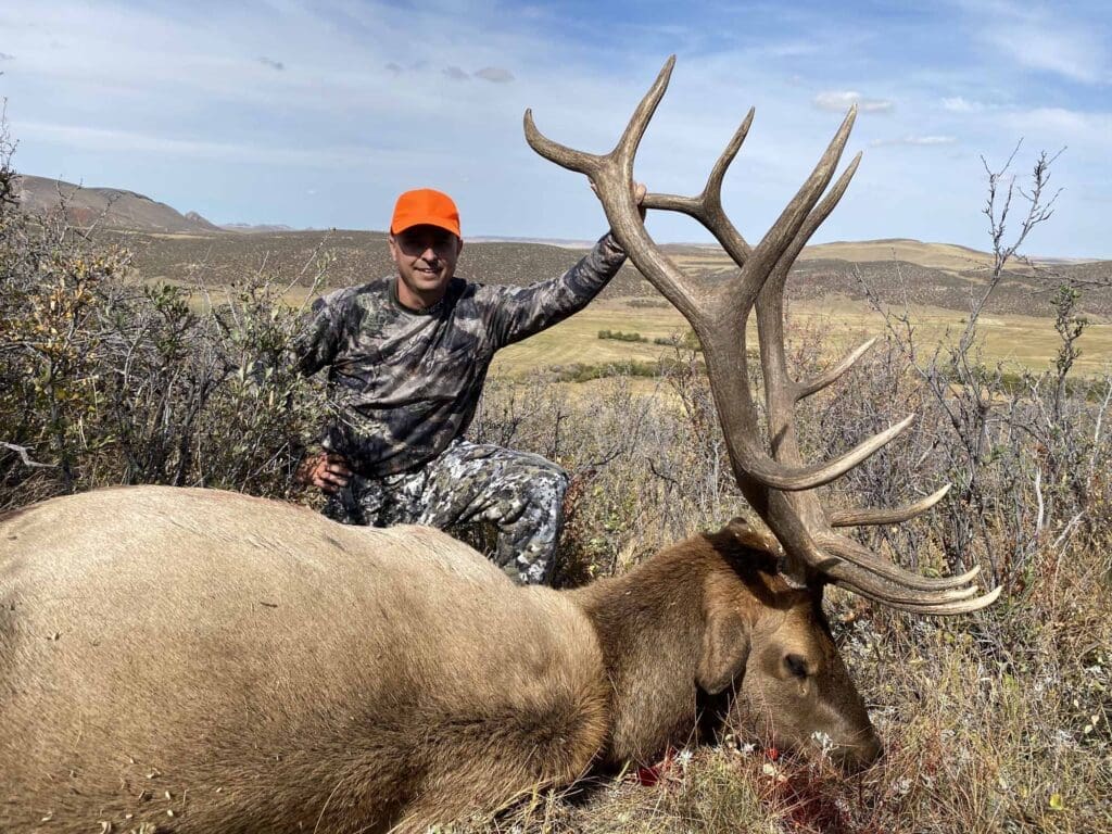 Elk 2021