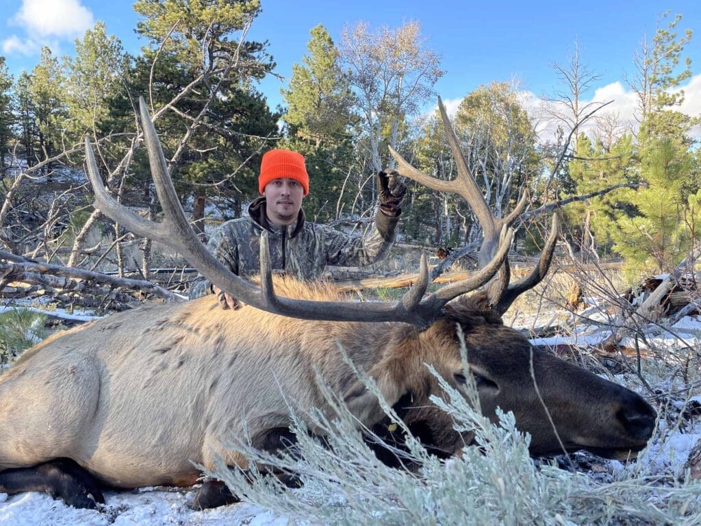 Elk 2021