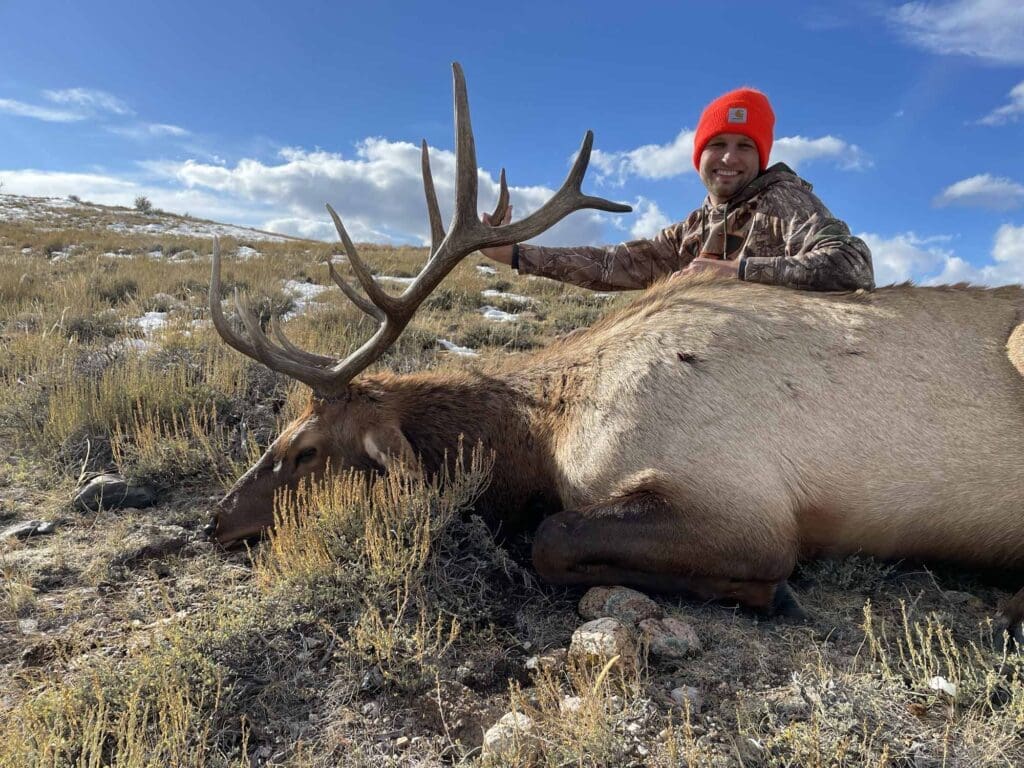 Elk 2021