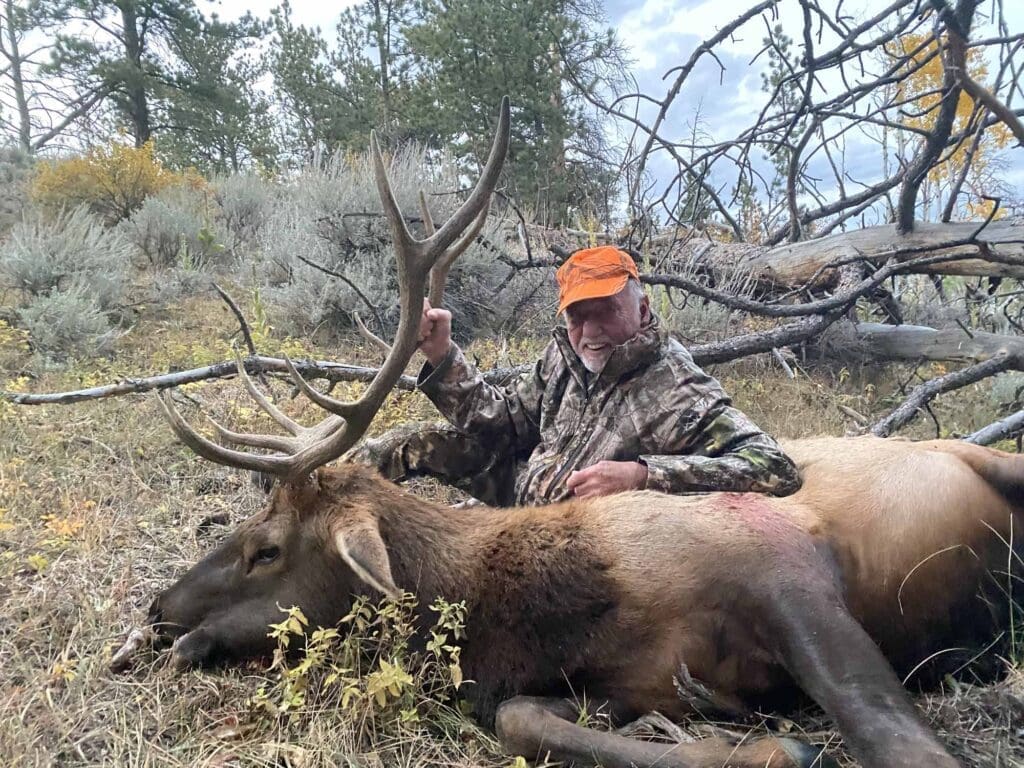 Elk 2021