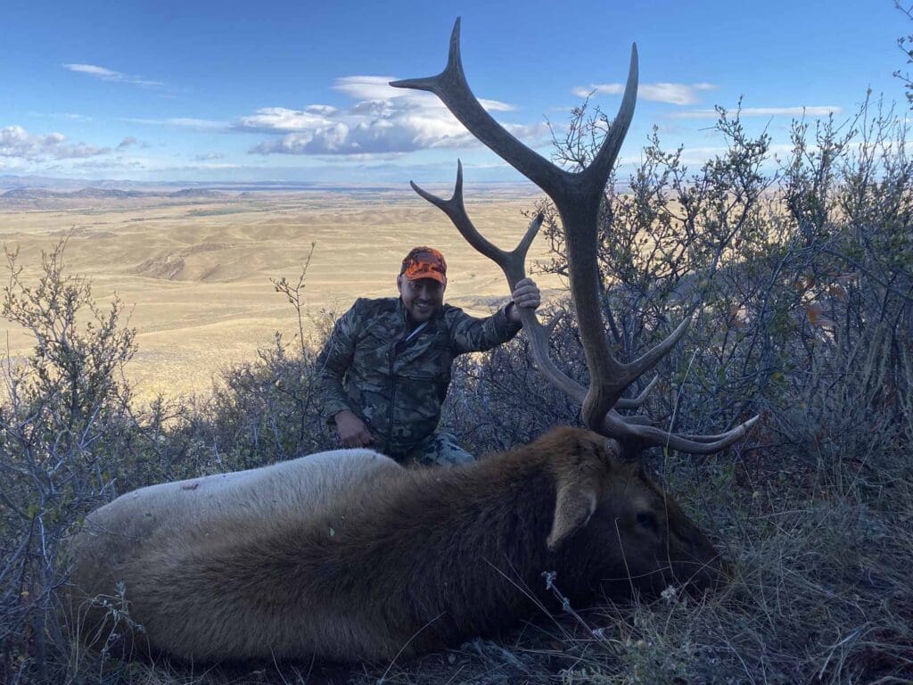 Elk 2021