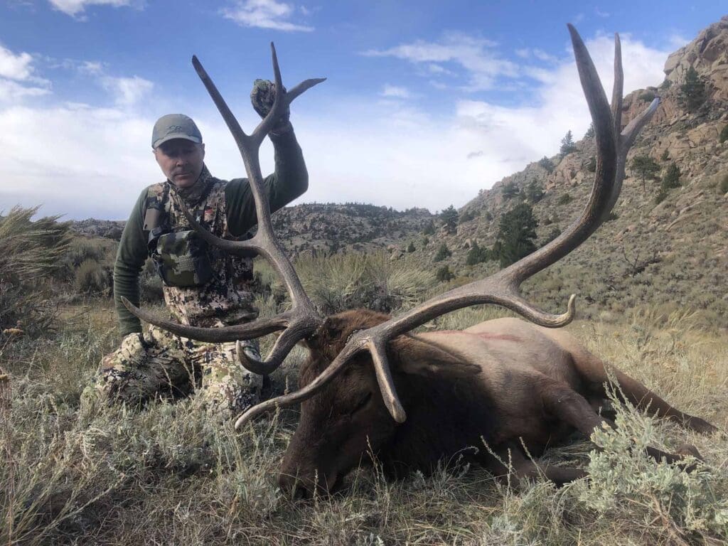 Elk 2021