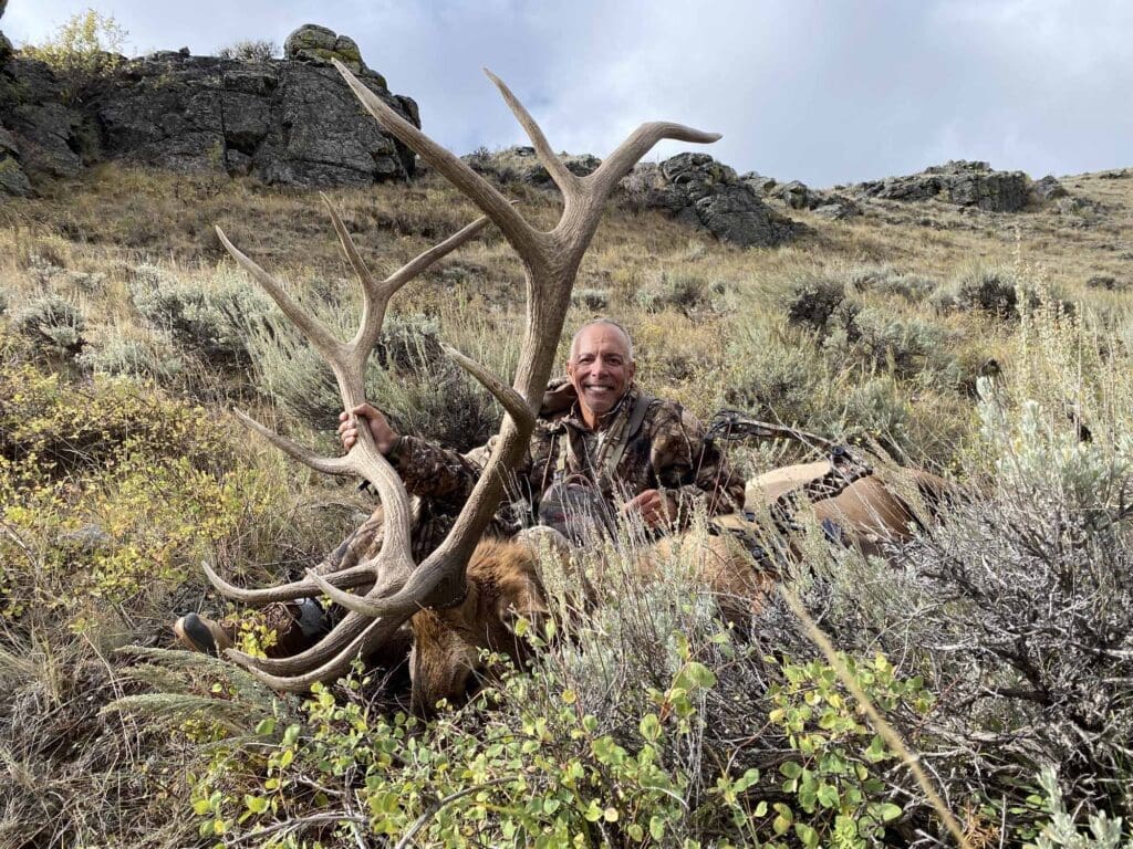 Elk 2021