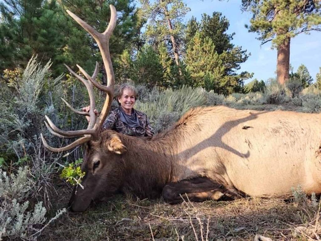 Elk 2021