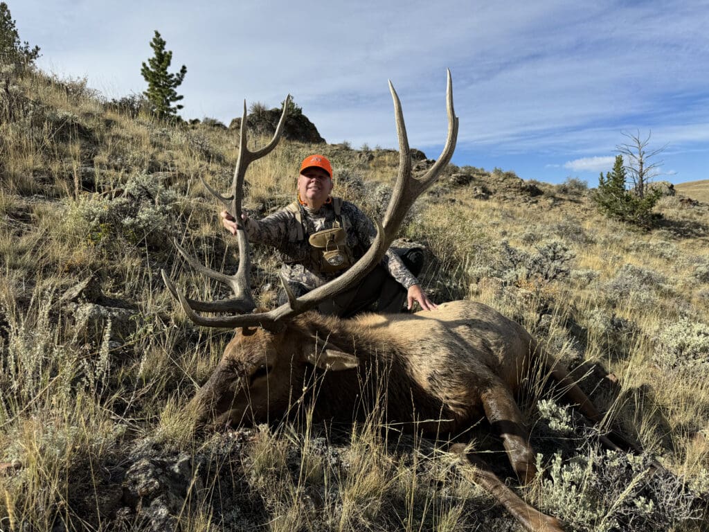 How To Hunt Elk In Wyoming In 2022