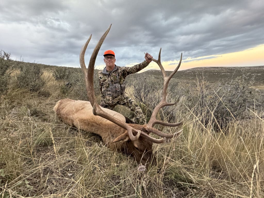 How To Hunt Elk In Wyoming In 2022