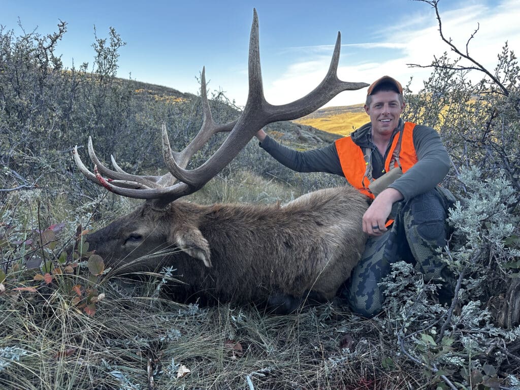 How To Hunt Elk In Wyoming In 2022