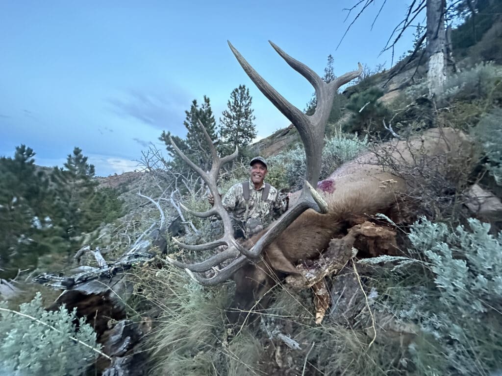 How To Hunt Elk In Wyoming In 2022